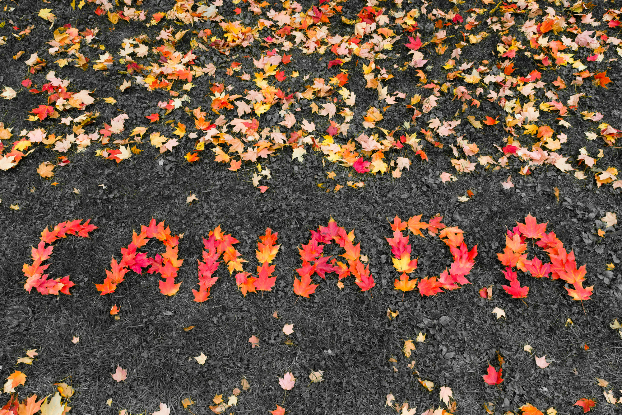 Home j29 provincial nomination